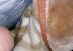 Amatör arap sex indir kedi veya Lindy koleksiyonu