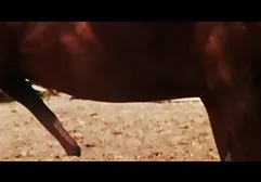Bilerek abanoz yıldız kapalı arap seks Rachel St. Marie-Shaker