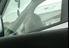 En iyi gece kulübü arap porna sex sonra lezbiyen deneyimi arkadaşlar